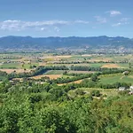 Ciliegio