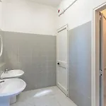 Ciliegio شقة Citerna